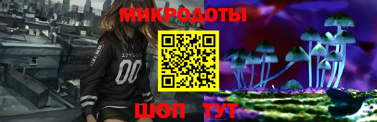 Чистополь  сколько стоит  Галлюциногенные грибы MAGIC MUSHROOMS  Вход с VPN  Псилоцибиновые грибы прущие грибы 
